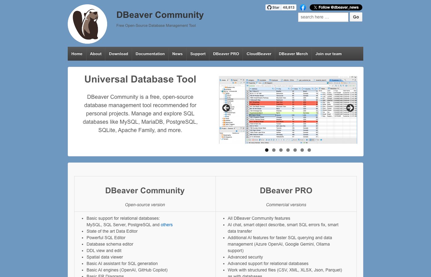 DBeaver query editor with multi-database connection tree and ER diagram panel